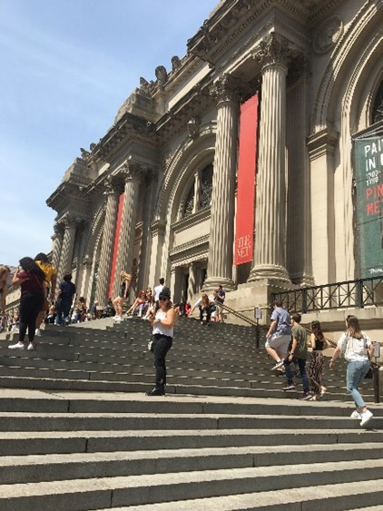 New York museum of natural history